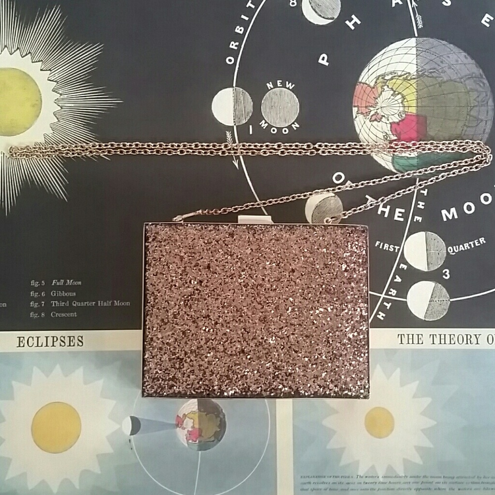 Glittery Purse